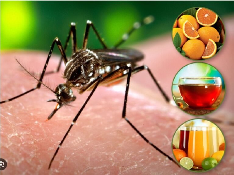 एक ही दिन में 101 लोगों के टेस्ट, क्या खतरनाक स्तर पर पहुंच गए चिकनगुनिया-डेंगू के मामले?