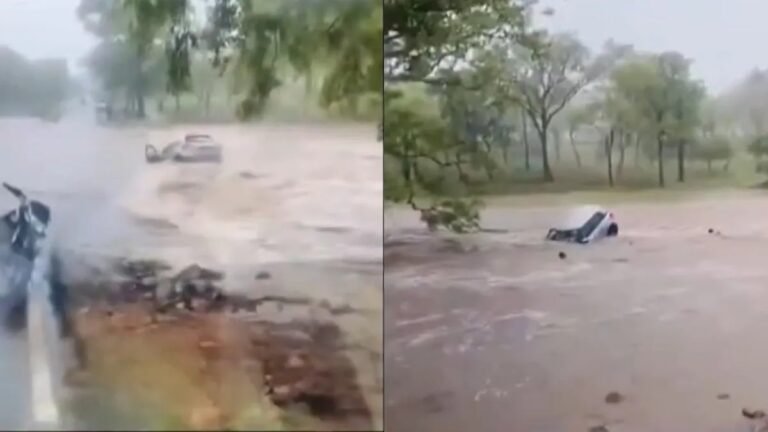 उफनते नाले में बह गई कार, तीनों सवारों ने यूं बचाई जान; VIDEO आप भी देखें